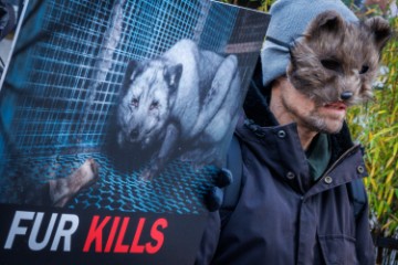 BELGIUM FUR PROTEST