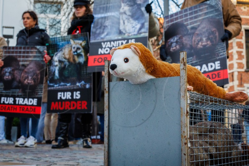 BELGIUM FUR PROTEST