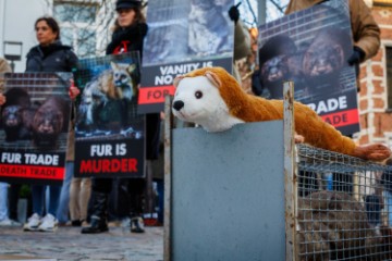 BELGIUM FUR PROTEST