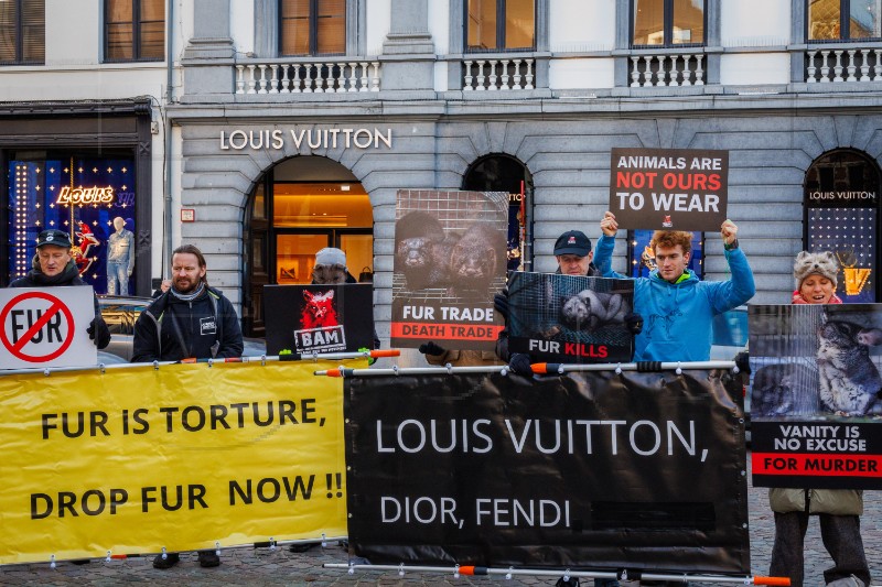 BELGIUM FUR PROTEST