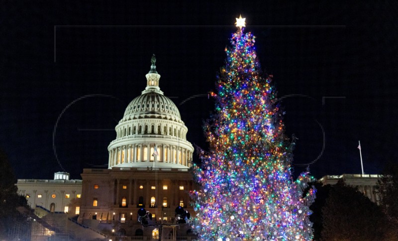 USA CAPITOL CHRISTMAS TREE