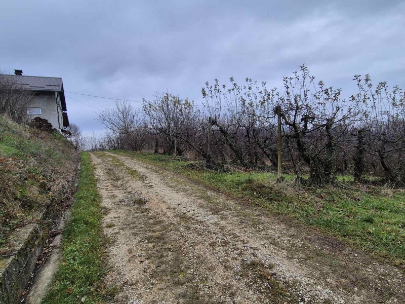 Počelo isptivanje osumnjičenih za smrt beba u Ljubešćici