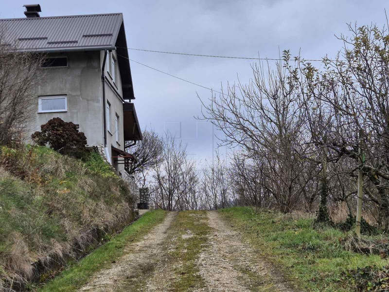 Počelo isptivanje osumnjičenih za smrt beba u Ljubešćici