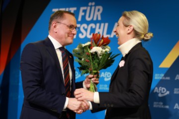 GERMANY AFD PARTIES