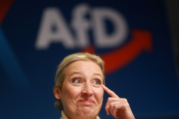 GERMANY AFD PARTIES