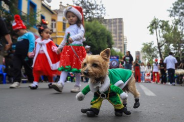 BOLIVIA CHRISTMAS