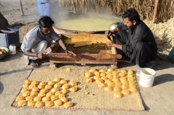 PAKISTAN JAGGERY 