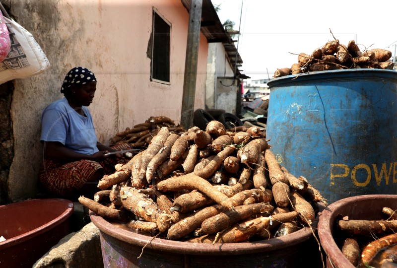 IVORY COAST UNESCO
