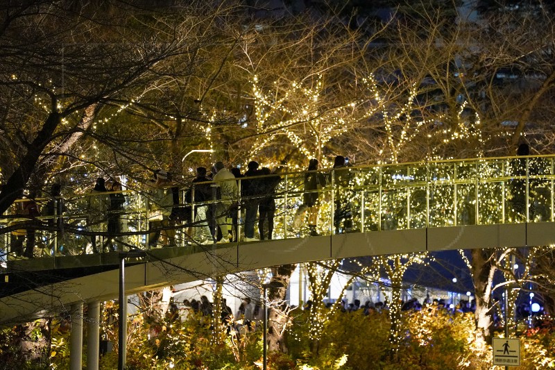 JAPAN CHRISTMAS ILLUMINATION