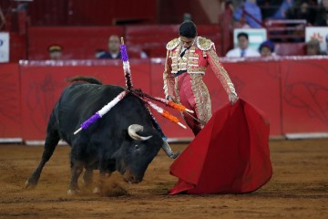 MEXICO BULLFIGHTING