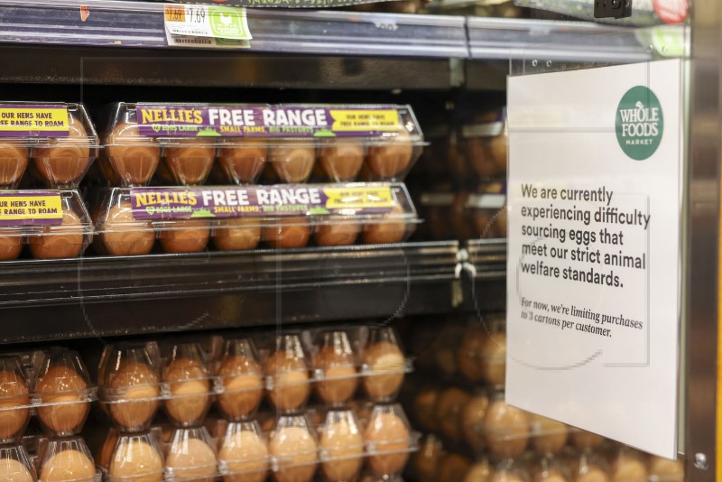 USA EGG PRICES