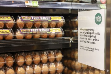 USA EGG PRICES