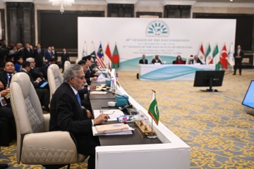 EGYPT D-8 FOREIGN MINISTERS MEETING