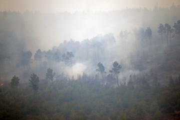 Požar u Žrnovnici