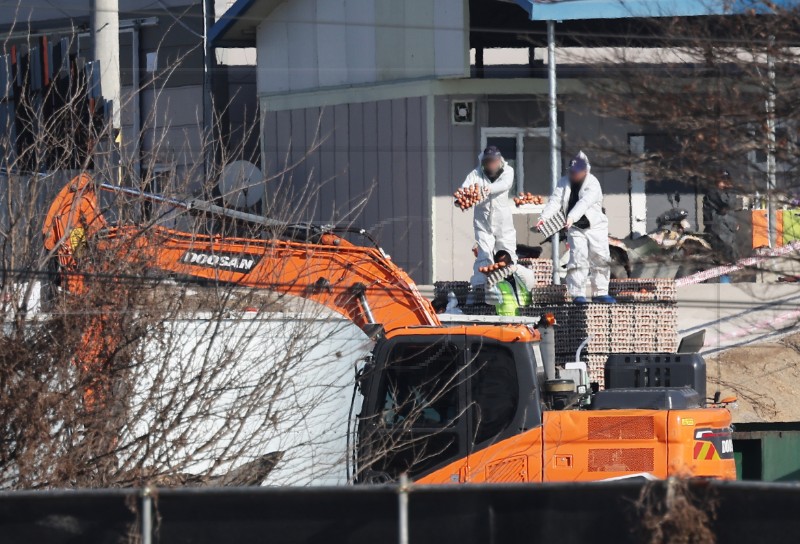 SOUTH KOREA AVIAN INFLUENZA