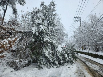 SOUTH KOREA WEATHER