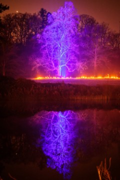 BELGIUM BOTANIC GARDEN WALK