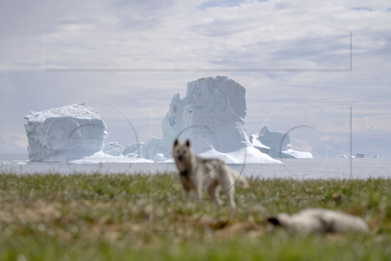 DENMARK GREENLAND DAILY LIFE