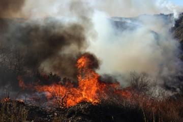 USA CALIFORNIA WILDFIRES