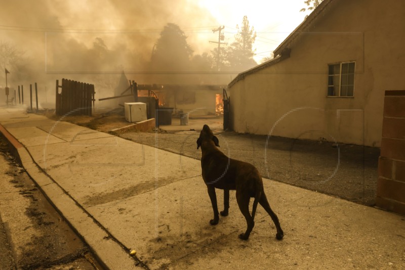 USA CALIFORNIA WILDFIRE