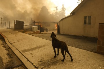 USA CALIFORNIA WILDFIRE