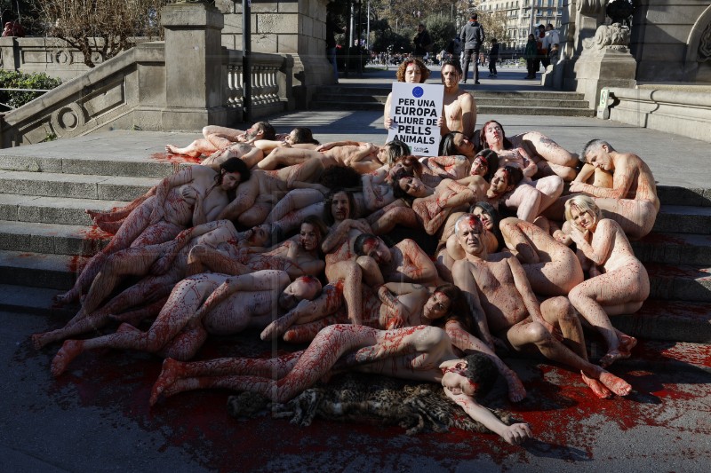 SPAIN ANIMAL WELFARE PROTESTS