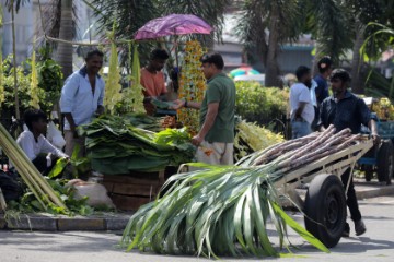 SRI LANKA TRADITION PONGAL FESTIVAL