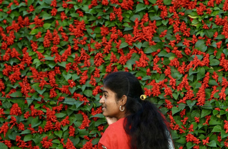 INDIA FLOWER SHOW