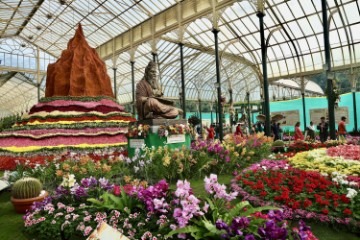 INDIA FLOWER SHOW