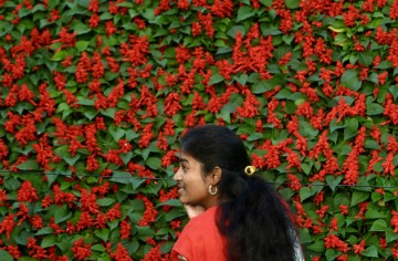 INDIA FLOWER SHOW