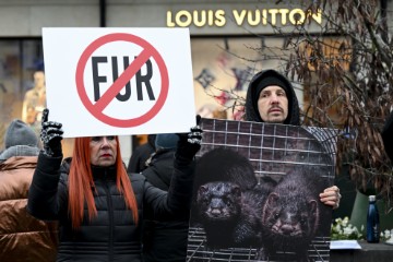 BELGIUM ANTI-FUR PROTEST