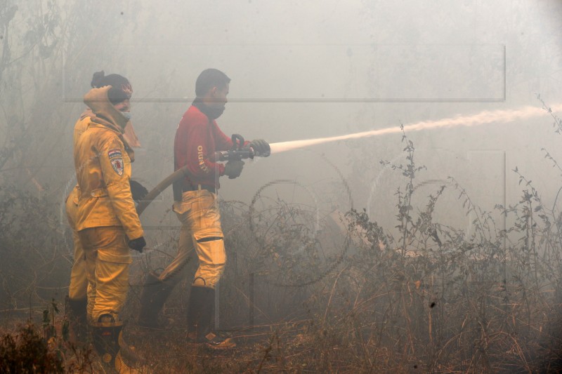 PARAGUAY FOREST FIRE