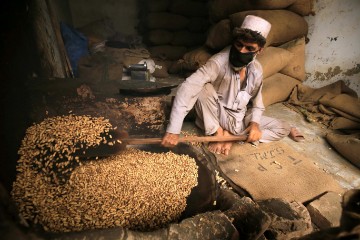 PAKISTAN ECONOMY DRY FRUITS