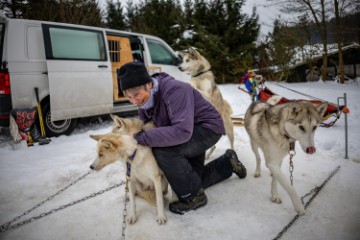 CZECH REPUBLIC PHOTO SET DOG SLED RACE