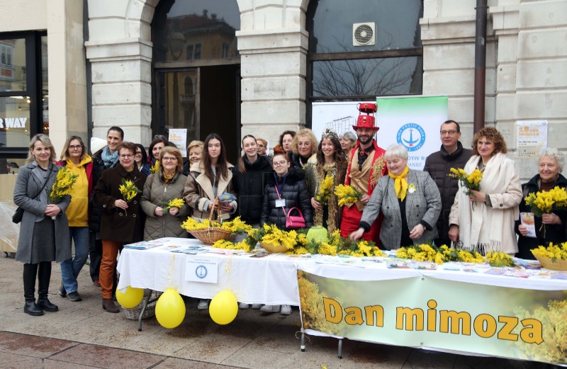 Dan mimoza na riječkom Korzu