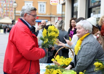 Dan mimoza na riječkom Korzu