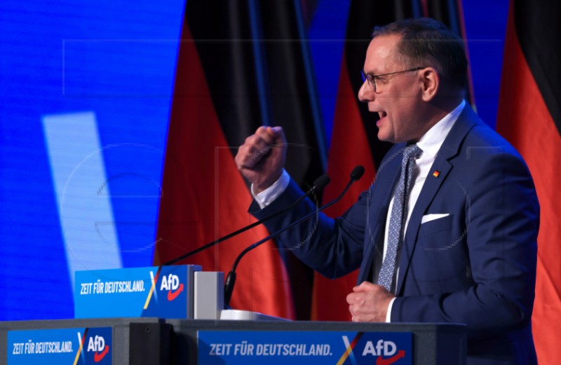 GERMANY ELECTIONS AFD