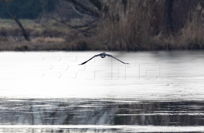 Jezero Savica, ornitološki rezervat s čak 12 jezera