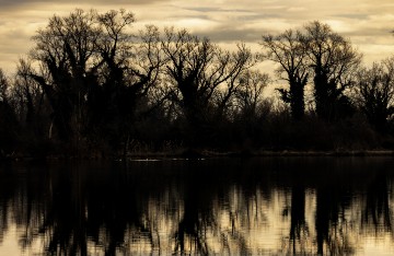 Jezero Savica, ornitološki rezervat s čak 12 jezera