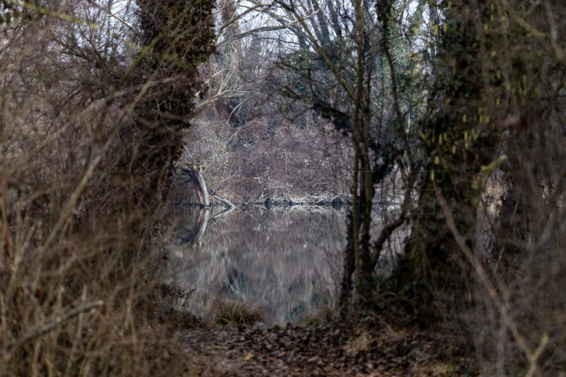 Jezero Savica, ornitološki rezervat s čak 12 jezera