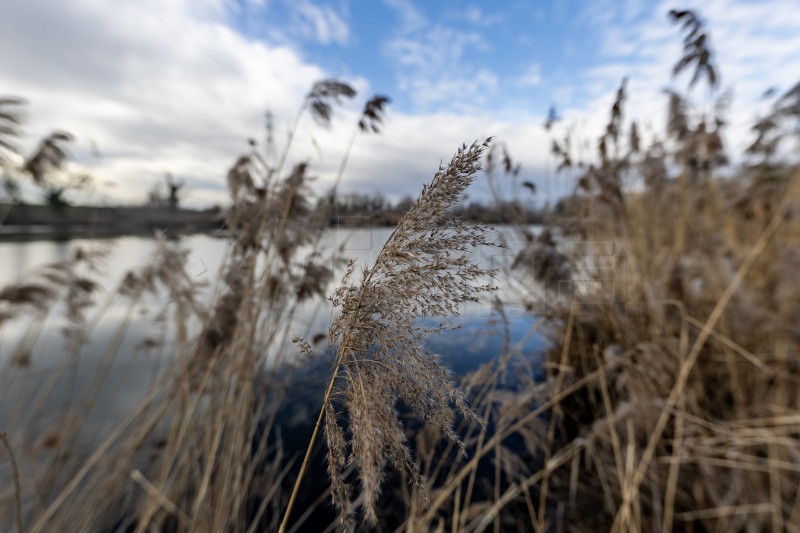 Jezero Savica, ornitološki rezervat s čak 12 jezera