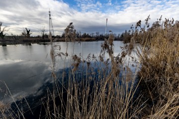 Jezero Savica, ornitološki rezervat s čak 12 jezera