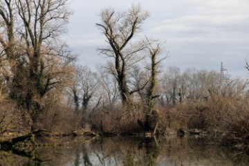 Jezero Savica, ornitološki rezervat s čak 12 jezera