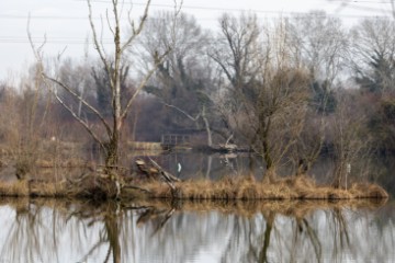 Jezero Savica, ornitološki rezervat s čak 12 jezera