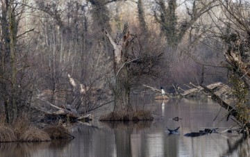 Jezero Savica, ornitološki rezervat s čak 12 jezera