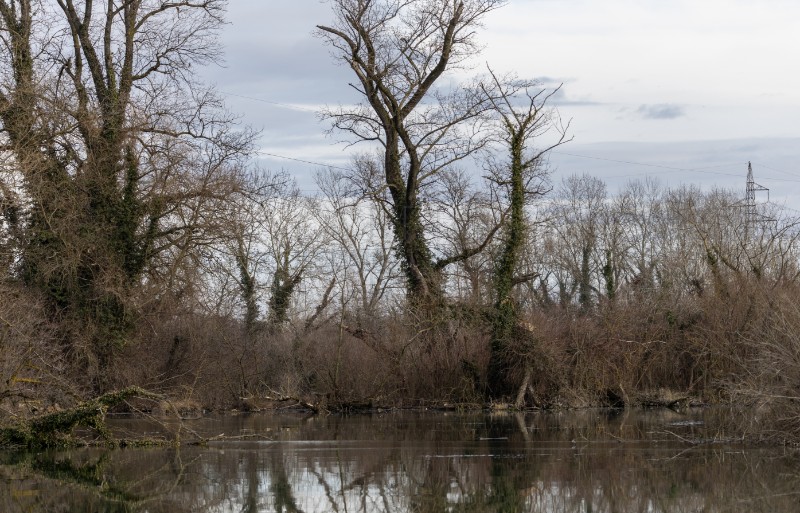 Jezero Savica, ornitološki rezervat s čak 12 jezera