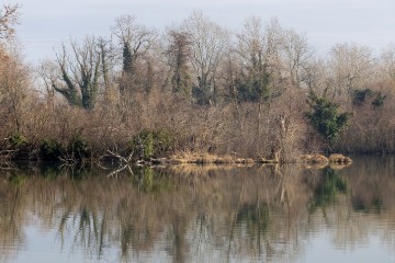 Jezero Savica, ornitološki rezervat s čak 12 jezera