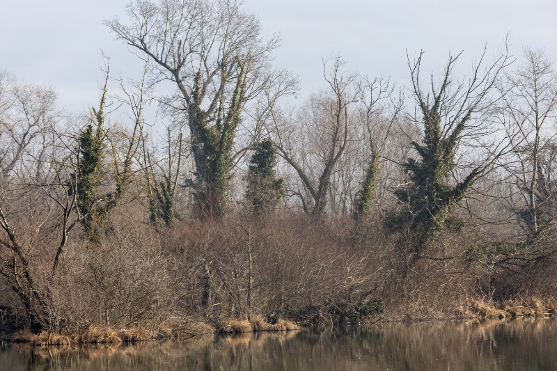 Jezero Savica, ornitološki rezervat s čak 12 jezera