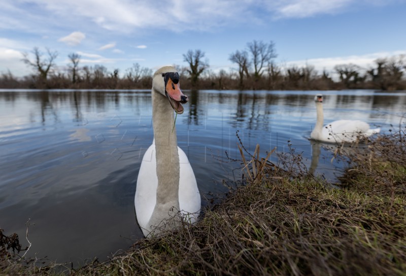 Jezero Savica, ornitološki rezervat s čak 12 jezera