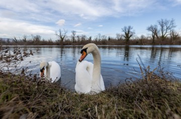 Jezero Savica, ornitološki rezervat s čak 12 jezera